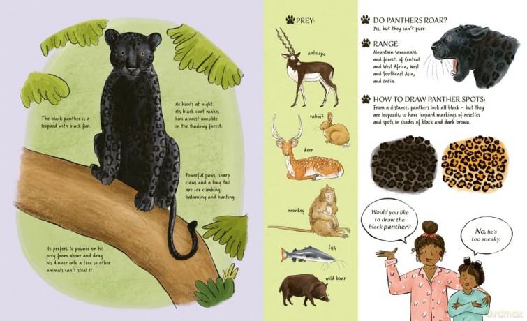 Meet the Cats - Kate Peridot [KSIĄŻKA]