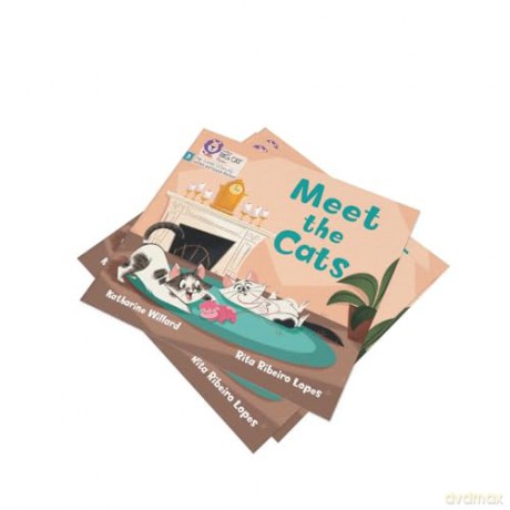 Meet the Cats: Phase 3 Set 1 Blending practice (Big Cat Phonics for Little Wandle Letters and Sounds Revised) - Katharine Willard [KSIĄŻKA]