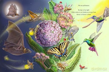 Meet the Pollinators: A Night and Day Adventure - Barbara Ciletti [KSIĄŻKA]
