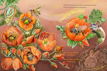Meet the Pollinators: A Night and Day Adventure - Barbara Ciletti [KSIĄŻKA]