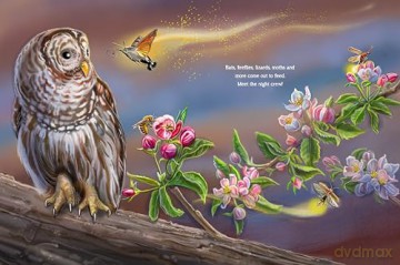 Meet the Pollinators: A Night and Day Adventure - Barbara Ciletti [KSIĄŻKA]