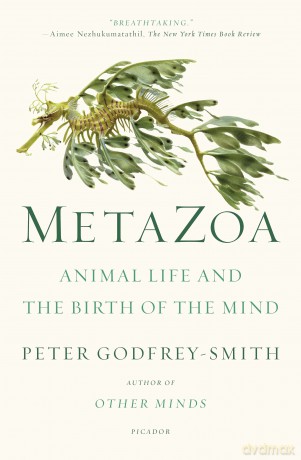 Metazoa: Animal Life and the Birth of the Mind - Peter Godfrey-Smith [KSIĄŻKA]