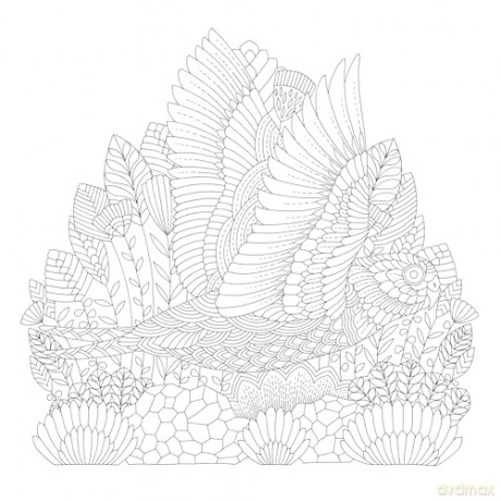 Millie Marotta's Precious Planet: A mindful colouring adventure (Millie Marotta's Animal Adventures) - Millie Marotta [KSIĄŻKA]
