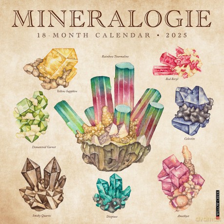 Mineralogie 2025 Wall [KSIĄŻKA]