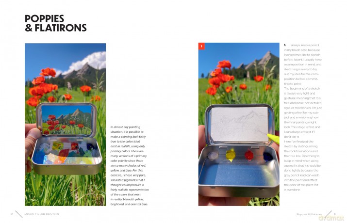 Mini Plein Air Painting with Remington Robinson: The art of miniature oil painting on the go in a portable tin - Remington Robinson [KSIĄŻKA]