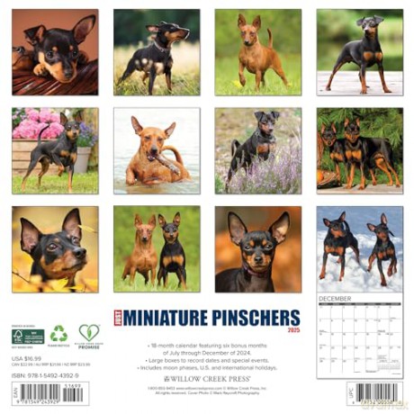 Miniature Pinschers 2025 Wall [KSIĄŻKA]