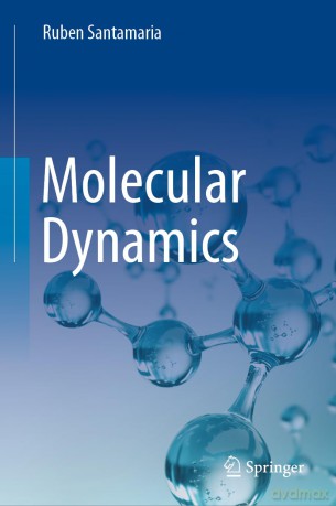 Molecular Dynamics - Ruben Santamaria [KSIĄŻKA]