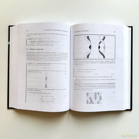 Monoidal Category Theory: Unifying Concepts in Mathematics, Physics, and Computing - Noson S. Yanofsky [KSIĄŻKA]