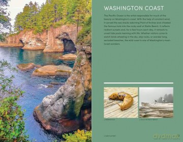 Moon Pacific Northwest Hiking (Second Edition, Revised): Best Hikes plus Beer, Bites, and Campgrounds Nearby (Moon Hiking Travel Guide) - Craig Hill [KSIĄŻKA]