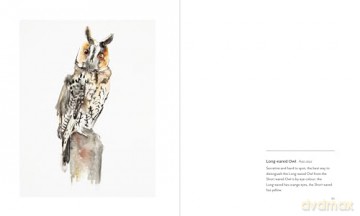 More Birds: Paintings of British Birds - Jim Moir [KSIĄŻKA]
