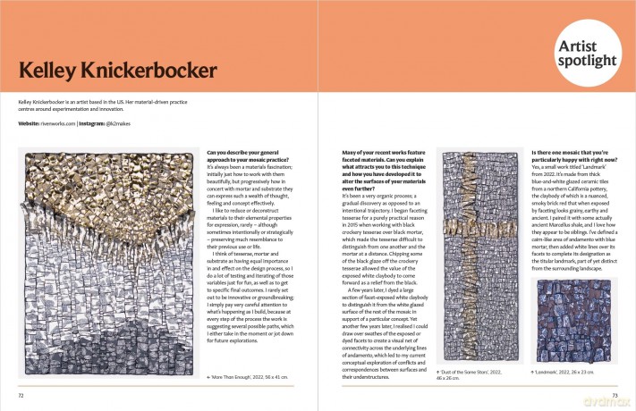 Mosaics Inspired by Nature: Creating Contemporary Art - Rachel Davies [KSIĄŻKA]