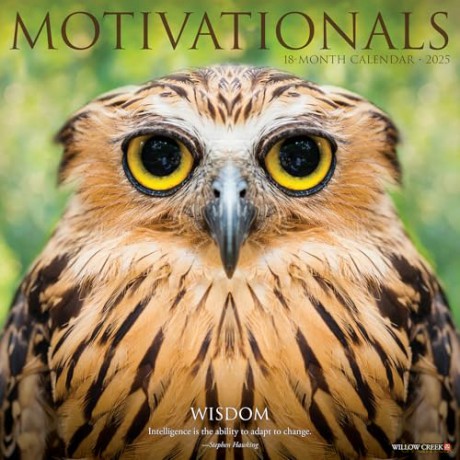Motivationals 2025 Wall [KSIĄŻKA]