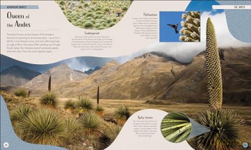 Mountain: Go On a Grand Tour of the Highest Places on Earth (Earth's Incredible Habitats) - Jason Bittel [KSIĄŻKA]