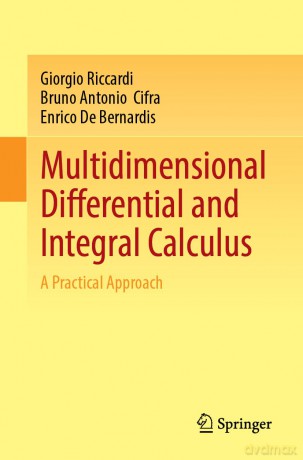 Multidimensional Differential and Integral Calculus: A Practical Approach - Giorgio Riccardi [KSIĄŻKA]