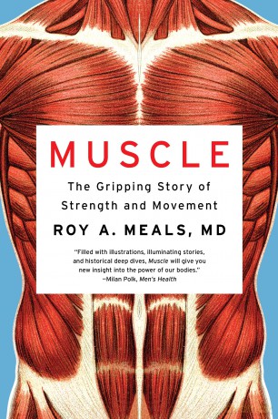 Muscle: The Gripping Story of Strength and Movement - Roy A. Meals [KSIĄŻKA]