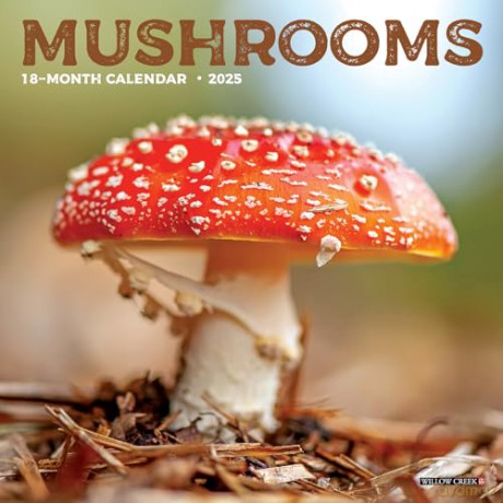 Mushrooms 2025 Mini [KSIĄŻKA]