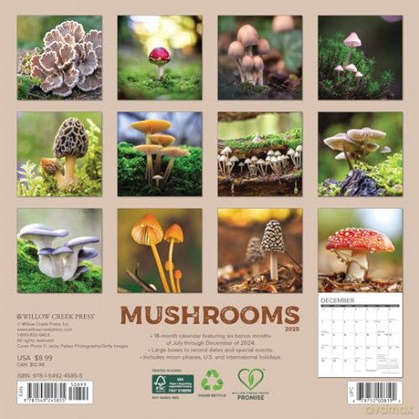 Mushrooms 2025 Mini [KSIĄŻKA]