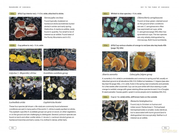 Mushrooms of Cascadia: An Illustrated Key to the Fungi of the Pacific Northwest - Michael Beug [KSIĄŻKA]