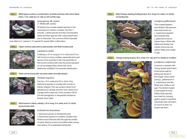 Mushrooms of Cascadia: An Illustrated Key to the Fungi of the Pacific Northwest - Michael Beug [KSIĄŻKA]