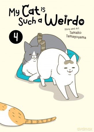 My Cat is Such a Weirdo Vol. 4 - Tamagoyama [KOMIKS]