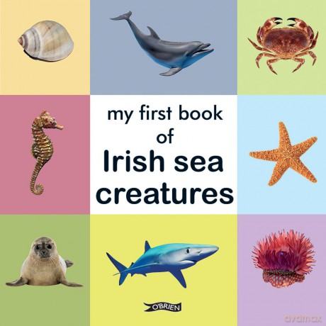 My First Book of Irish Sea Creatures (First Steps) [KSIĄŻKA]