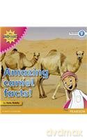 My Gulf World and Me Level 3 non-fiction reader: Amazing camel facts! - Kate Riddle [KSIĄŻKA]