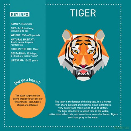 My Sticker Paintings: Zoo: 10 Magnificent Paintings (Happy Fox Books) Paint by Sticker for Kids 6-10 - Tiger, Ostrich, Iguana, Elephant, and more, with 60-100 Removable, Reusable Stickers per Design - Logan Powell [KSIĄŻKA]