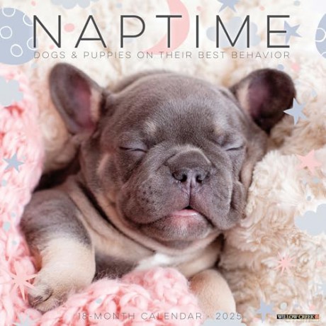Naptime Dogs and Puppies 2025 Wall [KSIĄŻKA]