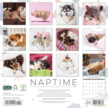 Naptime Dogs and Puppies 2025 Wall [KSIĄŻKA]
