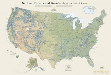 National Geographic Destination Map 2023 National Forests and Grasslands of the United States Map - National Geographic Maps [KSIĄŻKA]