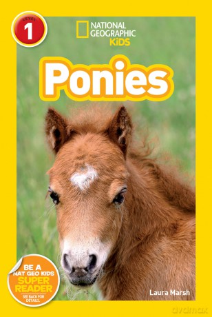 National Geographic Readers: Ponies (National Geographic Kids Readers: Level 1) - Laura Marsh [KSIĄŻKA]