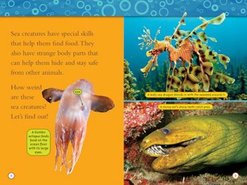 National Geographic Readers: Superstars of the Sea Collection (Level 2) (National Geographic Kids Readers) - National Geographic Kids [KSIĄŻKA]