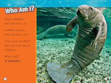 National Geographic Readers: Superstars of the Sea Collection (Level 2) (National Geographic Kids Readers) - National Geographic Kids [KSIĄŻKA]
