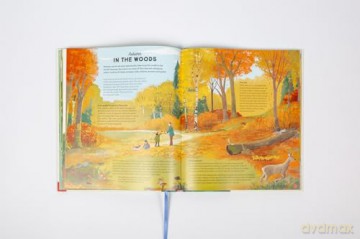 National Trust: A Story of the Seasons: Discover nature through the year - Anna Wilson [KSIĄŻKA]