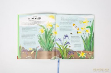 National Trust: A Story of the Seasons: Discover nature through the year - Anna Wilson [KSIĄŻKA]