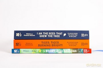 National Trust: A Story of the Seasons: Discover nature through the year - Anna Wilson [KSIĄŻKA]