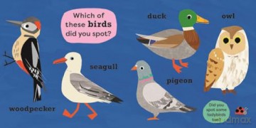 National Trust: I Spot a Duck (My Very First Spotter's Guides) (National Trust: My Very First Spotter's Guides) - Kay Vincent [KSIĄŻKA]