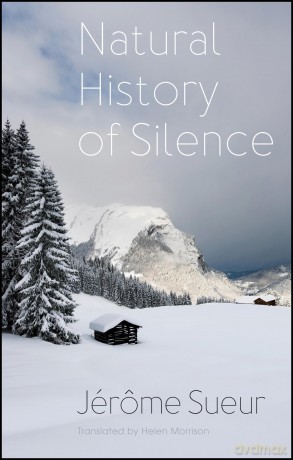 Natural History of Silence - Jérôme Sueur [KSIĄŻKA]