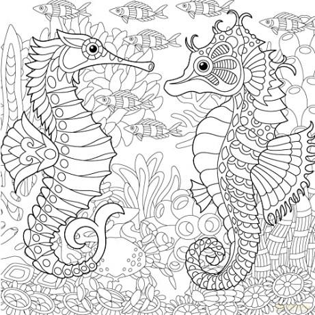 Natural History: Create Your World [KSIĄŻKA]