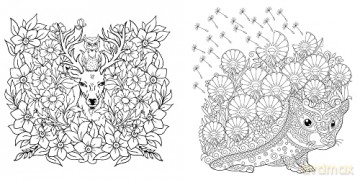 Natural History: Create Your World [KSIĄŻKA]