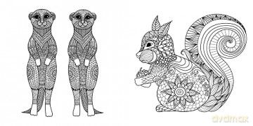 Natural History: Create Your World [KSIĄŻKA]