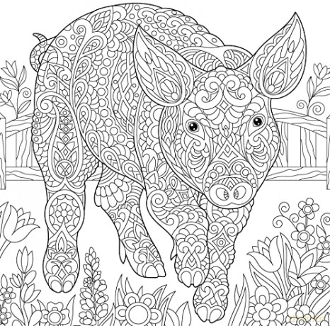 Natural History: Create Your World [KSIĄŻKA]