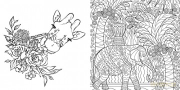 Natural History: Create Your World [KSIĄŻKA]