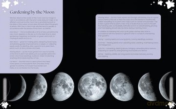 Natural Magic: Craft spells in alignment with nature and the magical world - Marie Bruce [KSIĄŻKA]