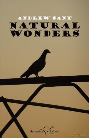 Natural Wonders - Andrew Sant [KSIĄŻKA]