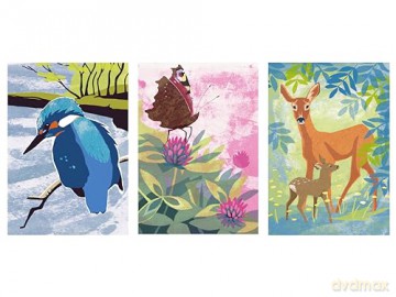Nature Notebooks Midi Set: Set of 3 - Jane Smith [KSIĄŻKA]