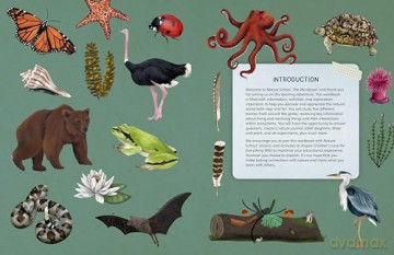 Nature School: The Workbook: 100+ Activities, Games, and Puzzles (2) - Lauren Giordano [KSIĄŻKA]