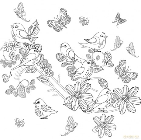 Nature: Create Your World [KSIĄŻKA]