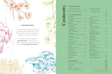 Nature's Apothecary: Harness the healing power of herbs, mushrooms and other adaptogens - Paula Grainger [KSIĄŻKA]
