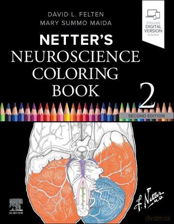 Netter's Neuroscience Coloring Book - David L. Felten MD PhD [KSIĄŻKA]